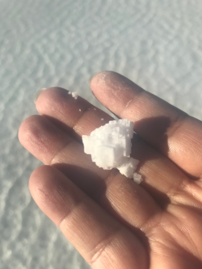 Salt crystals from the portion of the Salar that is underwater